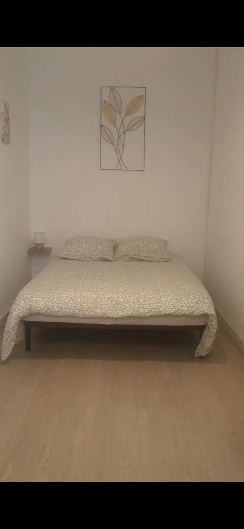 Appartement T3 Rez De Jardin Marseille Eksteriør billede